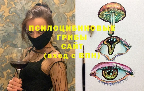дживик Нязепетровск