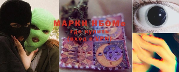 индика Нягань