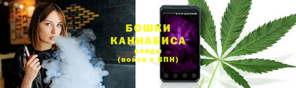 индика Нягань