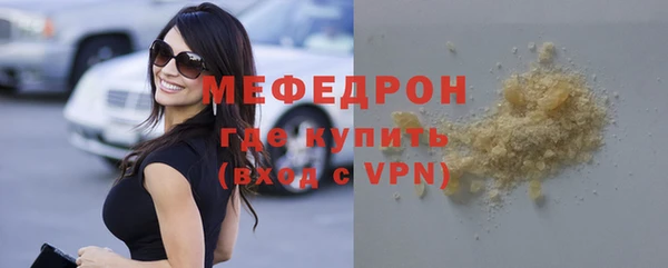 индика Нягань