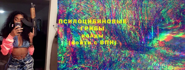 индика Нягань