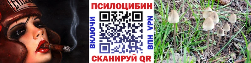 как найти закладки  Туапсе  Галлюциногенные грибы прущие грибы 